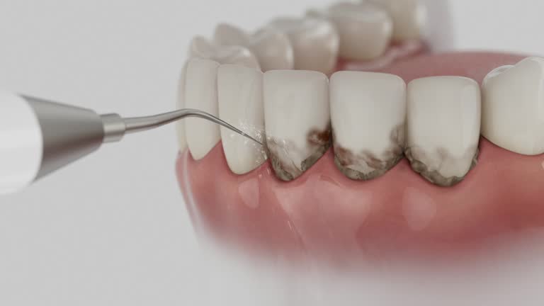 Reliable Dental contractor in Starkville, MS by Dentist Open Now